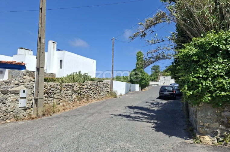 Terreno para Venda em Santa Maria e São Miguel, São Martinho, São Pedro Penaferrim Foto 4