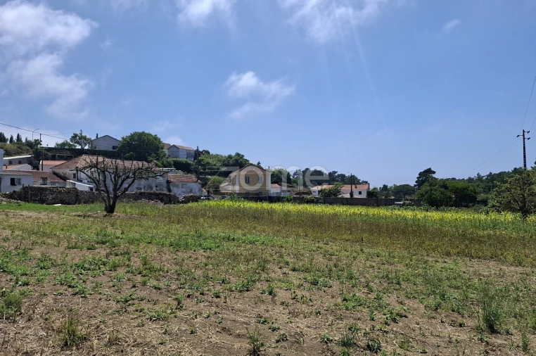Terreno para Venda em Santa Maria e São Miguel, São Martinho, São Pedro Penaferrim Foto 9