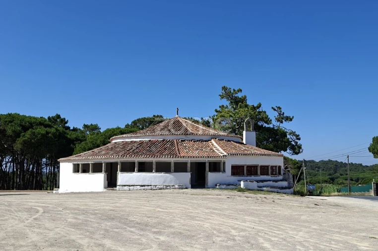 Terreno para Venda em Santa Maria e São Miguel, São Martinho, São Pedro Penaferrim Foto 18