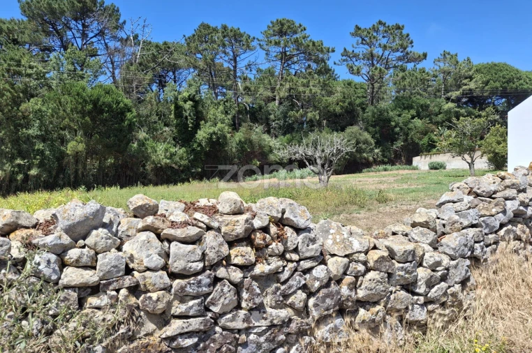 Terreno para Venda em Santa Maria e São Miguel, São Martinho, São Pedro Penaferrim Foto 11