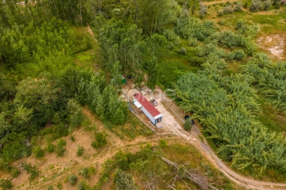 Terreno para Venda em Caranguejeira