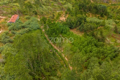 Terreno para Venda em Caranguejeira