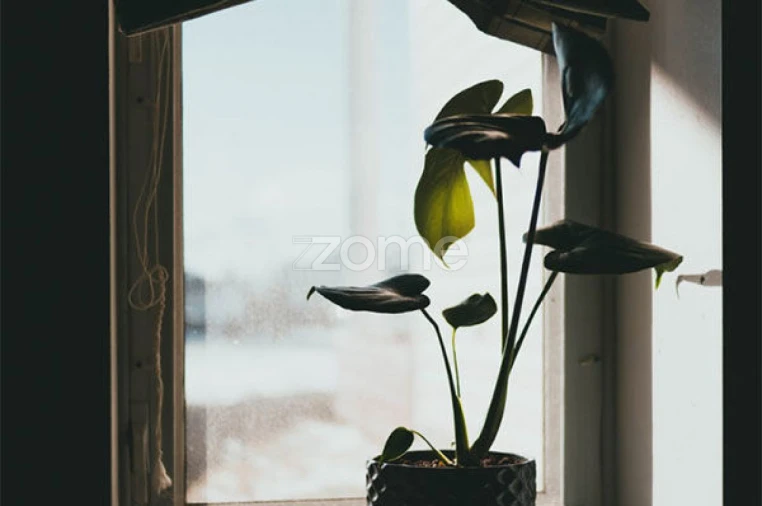 Apartamento T3 para Venda em Viseu Foto 3