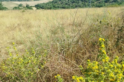 Terreno para Venda em Almargem do Bispo, Pêro Pinheiro e Montelavar