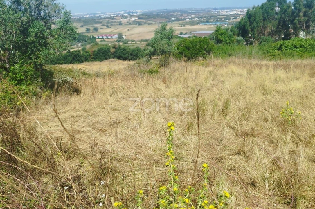 Terreno para Venda em Almargem do Bispo, Pêro Pinheiro e Montelavar Foto 4