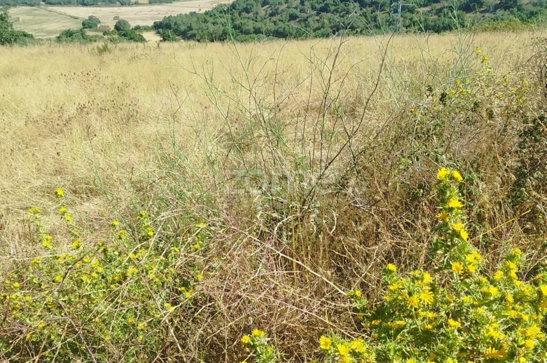 Terreno para Venda em Almargem do Bispo, Pêro Pinheiro e Montelavar Foto 5
