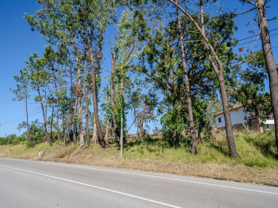 Terreno para Venda em Maceira Foto 1
