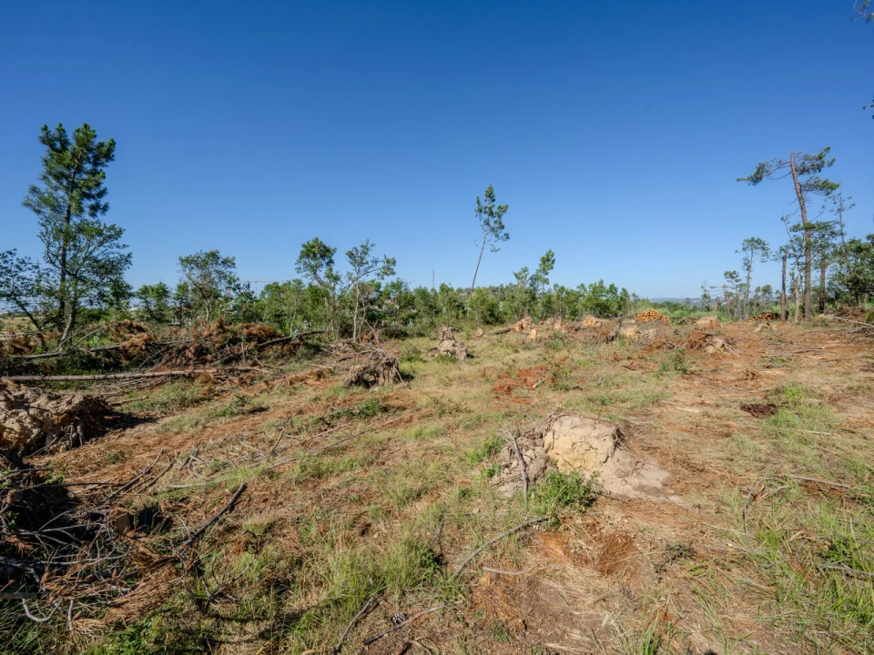 Terreno para Venda em Maceira Foto 2