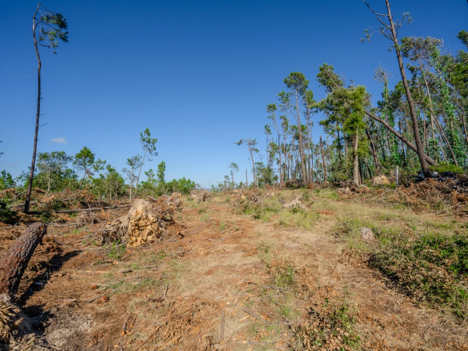 Terreno para Venda em Maceira Foto 3