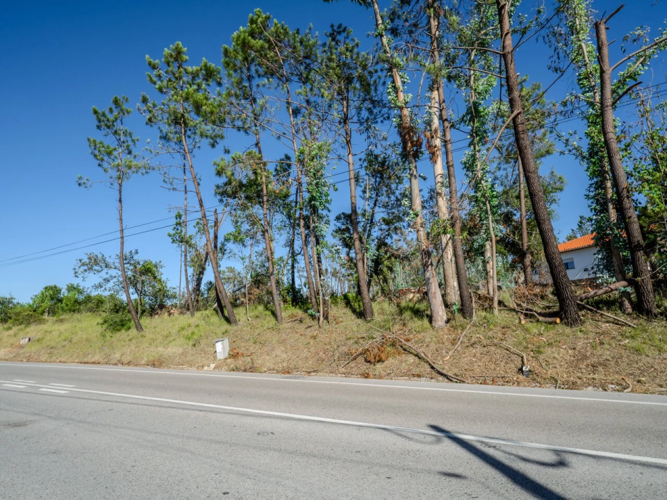 Terreno para Venda em Maceira Foto 7