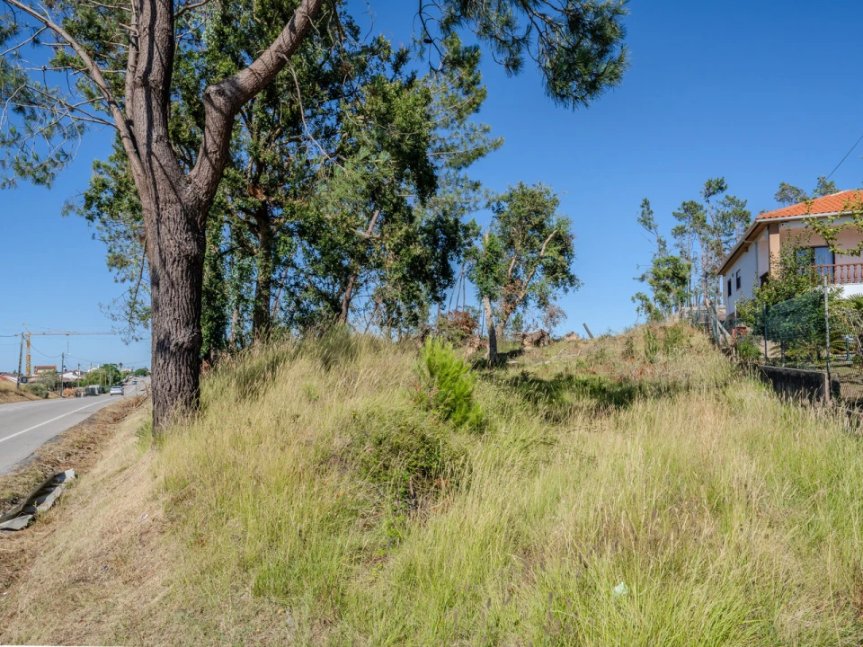 Terreno para Venda em Maceira Foto 8