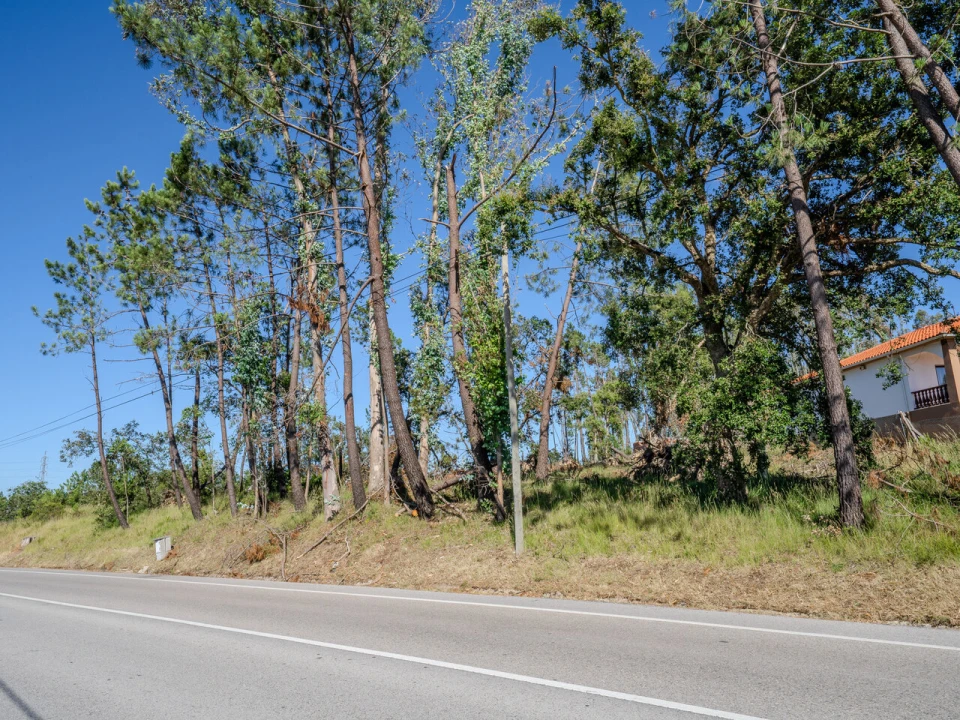 Terreno para Venda em Maceira Foto 11
