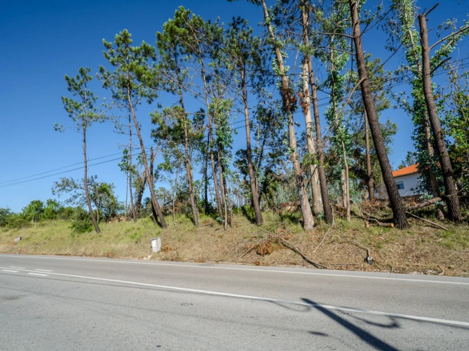 Terreno para Venda em Maceira Foto 7