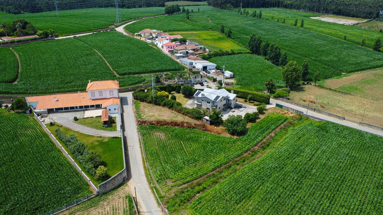 Moradia T4 para Venda em Gião Foto 9