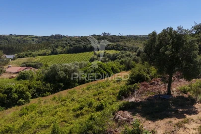 Quinta T0 para Venda em Carnota