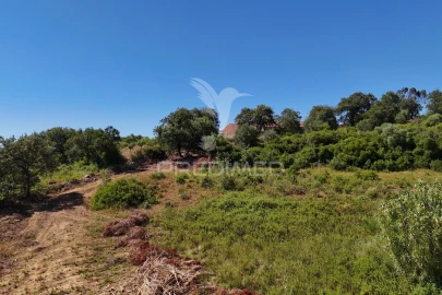Quinta T0 para Venda em Carnota
