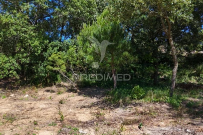 Quinta T0 para Venda em Carnota