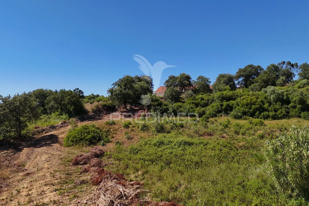 Quinta T0 para Venda em Carnota Foto 26