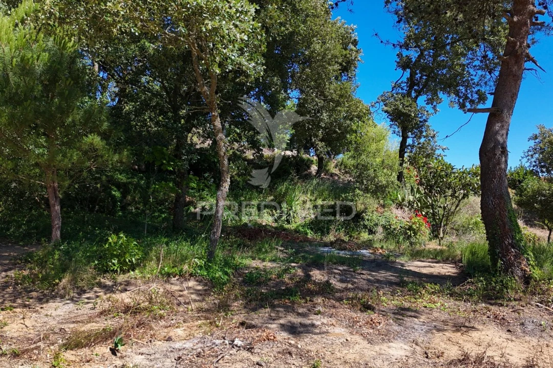 Quinta T0 para Venda em Carnota Foto 29