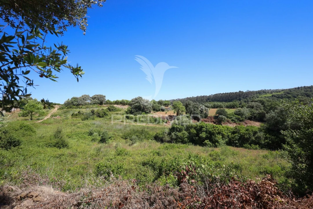 Quinta T0 para Venda em Carnota Foto 37