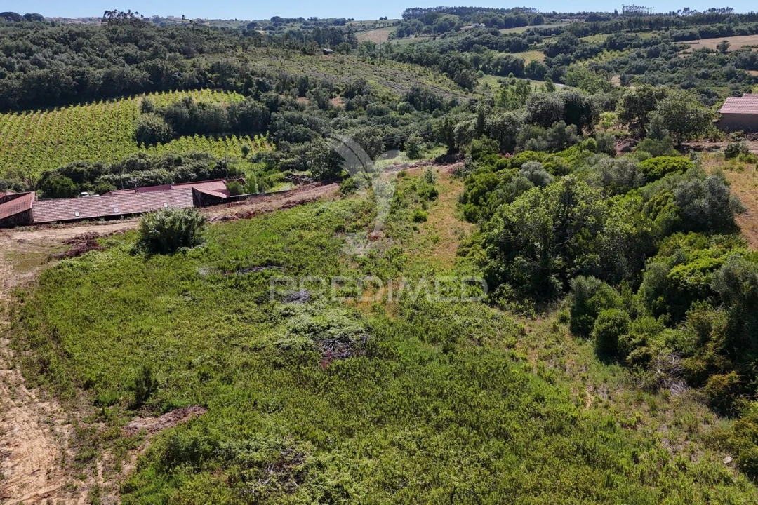 Quinta T0 para Venda em Carnota Foto 23