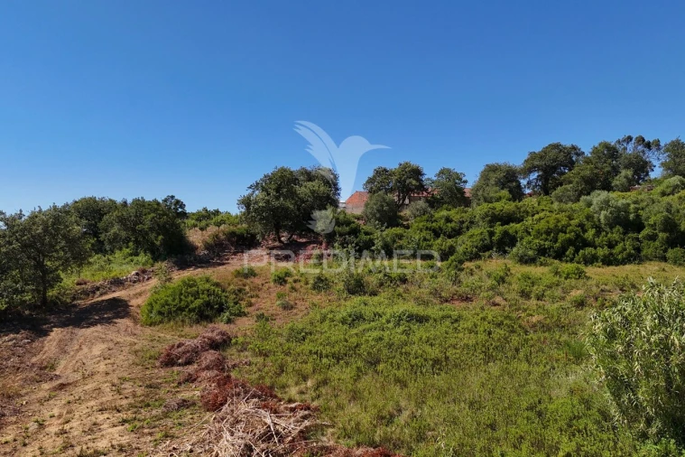 Quinta T0 para Venda em Carnota Foto 26