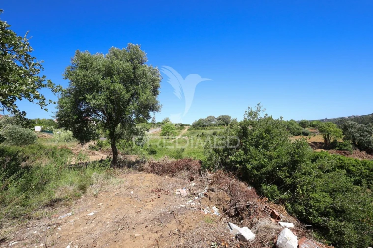 Quinta T0 para Venda em Carnota Foto 35