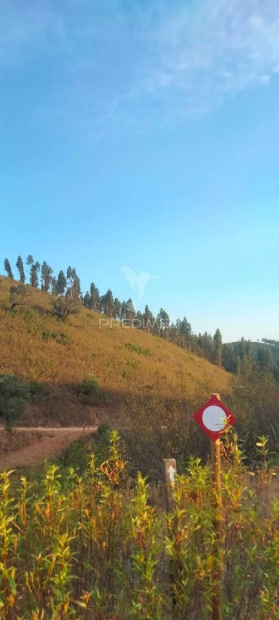Terreno para Venda em São Marcos da Serra Foto 9