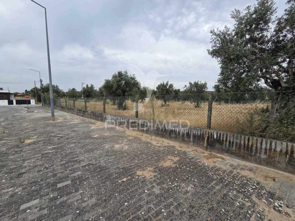 Terreno para Venda em Vila Nova da Barquinha Foto 9
