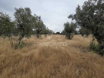 Terreno para Venda em Vila Nova da Barquinha