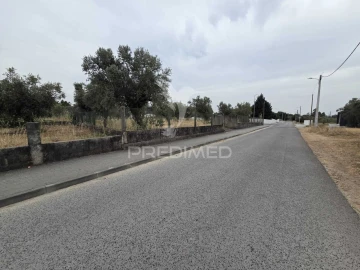 Terreno para Venda em Vila Nova da Barquinha