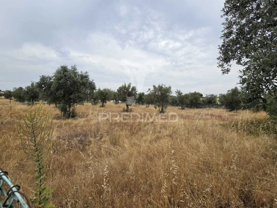 Terreno para Venda em Vila Nova da Barquinha Foto 22