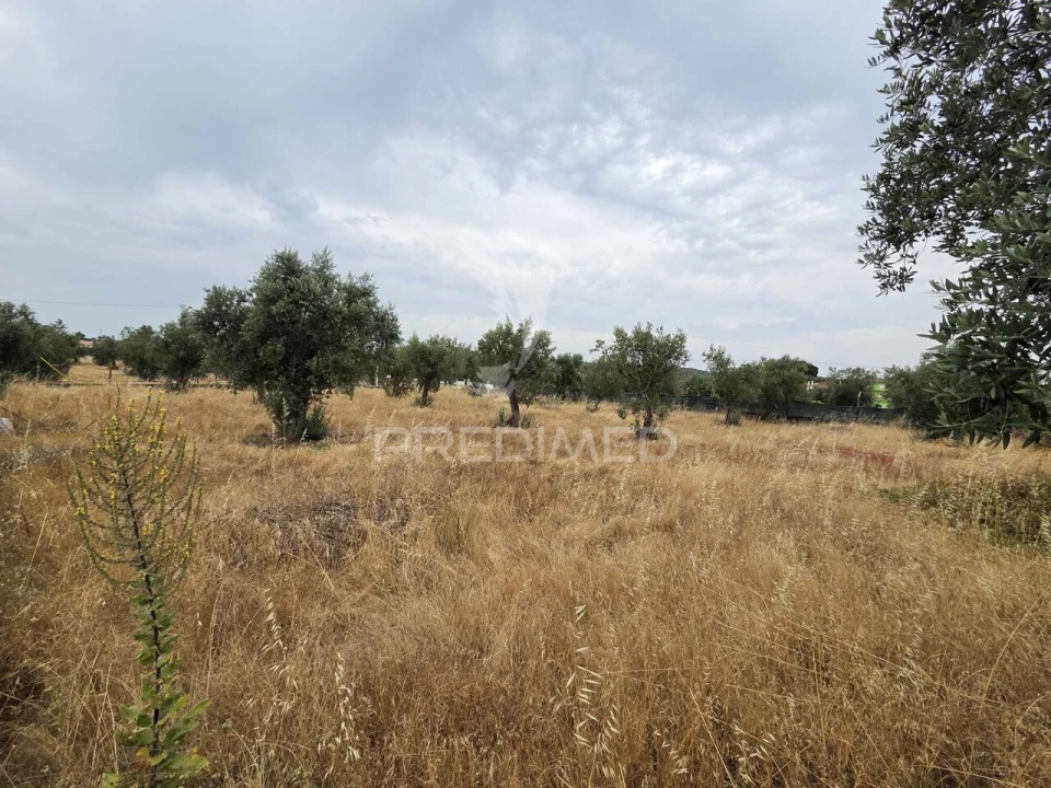 Terreno para Venda em Vila Nova da Barquinha Foto 21