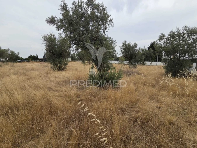 Terreno para Venda em Vila Nova da Barquinha Foto 13