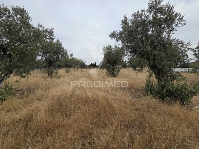 Terreno para Venda em Vila Nova da Barquinha Foto 14