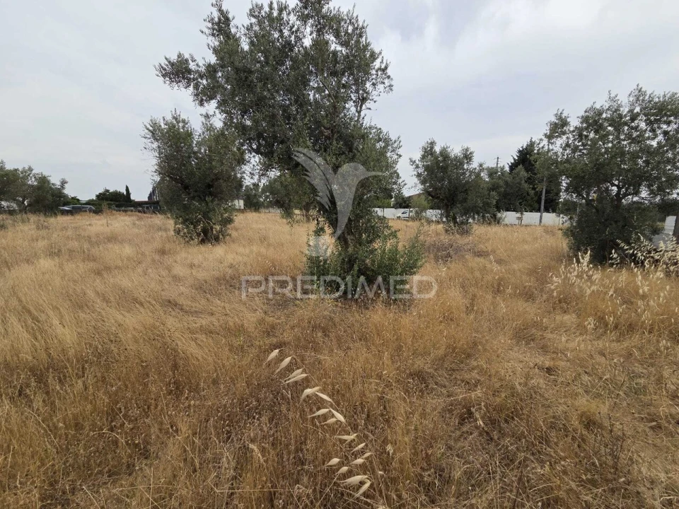 Terreno para Venda em Vila Nova da Barquinha Foto 13
