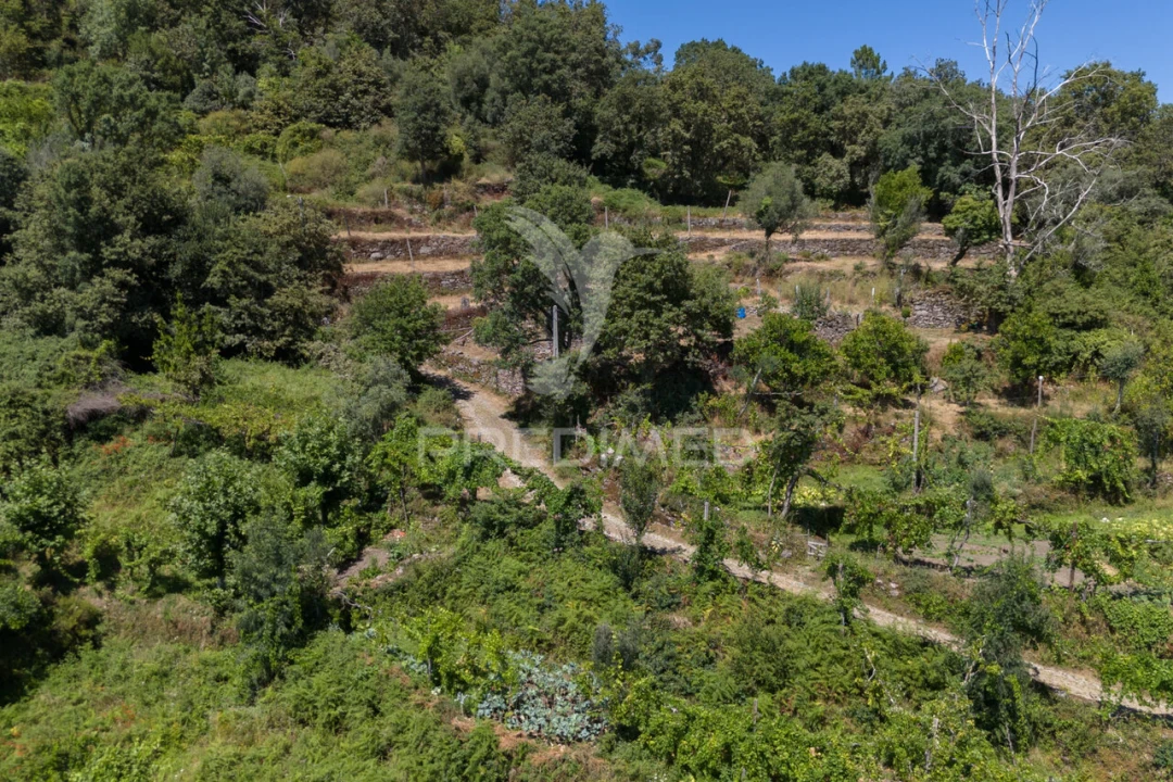 Moradia T1 para Venda em Cibões e Brufe Foto 29