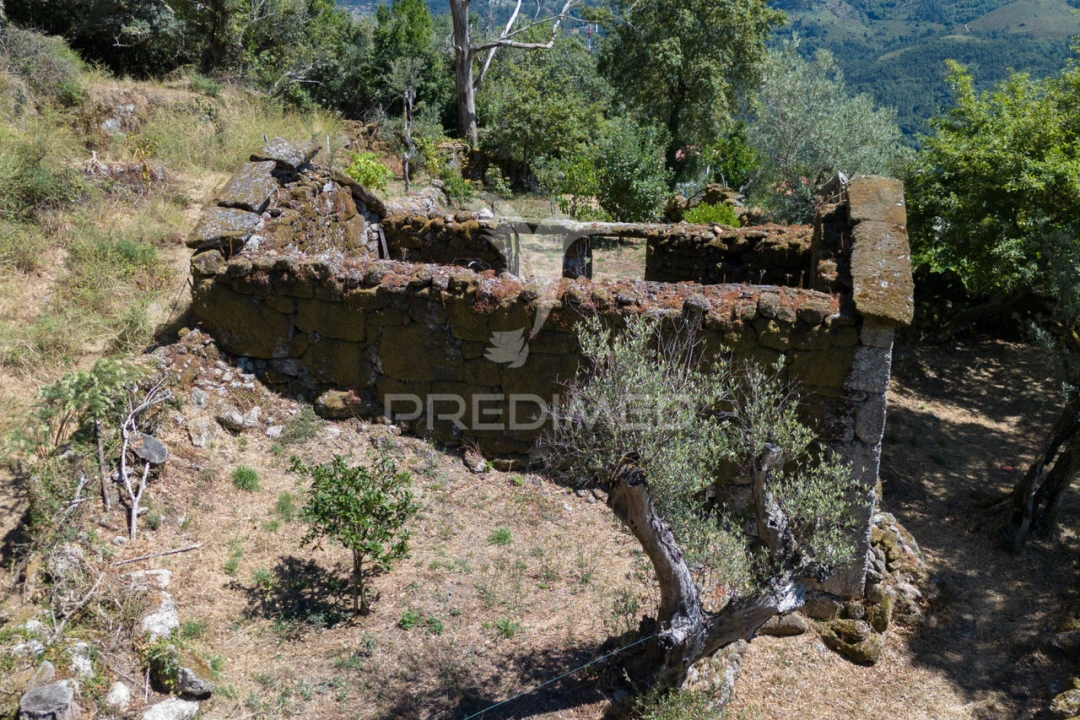 Moradia T1 para Venda em Cibões e Brufe Foto 5