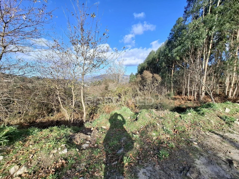 Terreno para Venda em Vade Foto 13