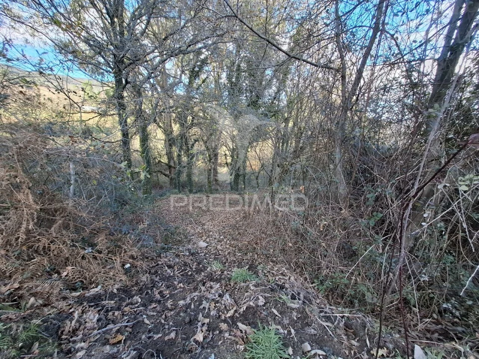 Terreno para Venda em Vade Foto 10