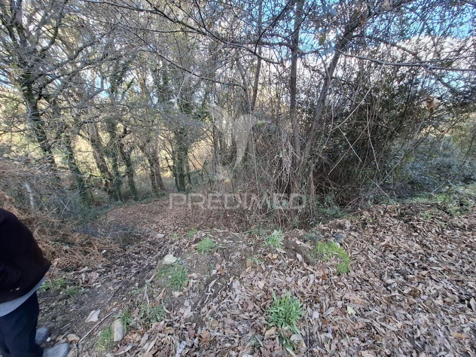 Terreno para Venda em Vade Foto 11