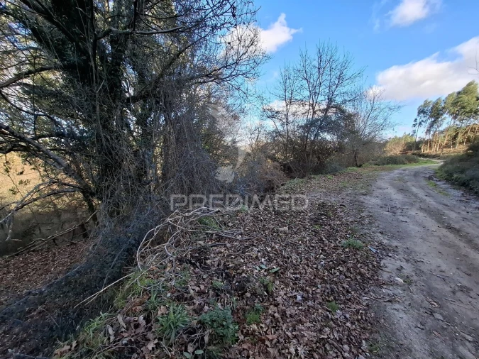 Terreno para Venda em Vade Foto 9