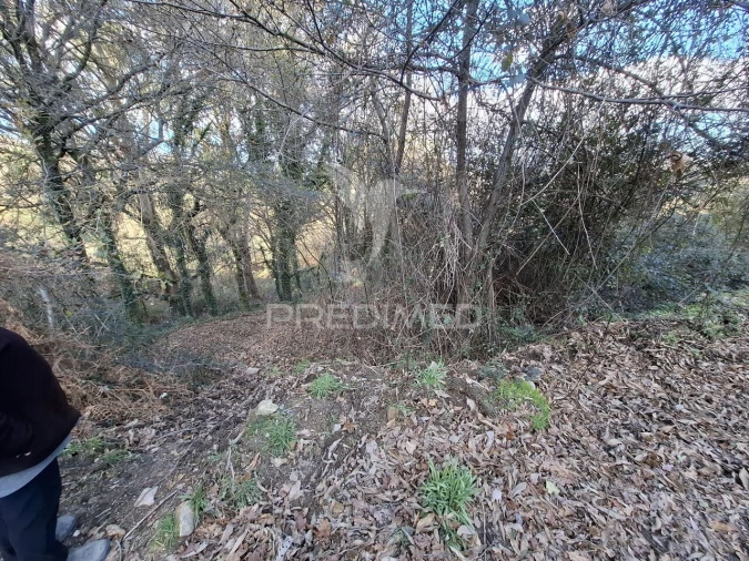 Terreno para Venda em Vade Foto 11