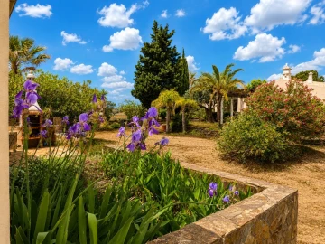 Quinta T2 para Venda em São Bartolomeu de Messines