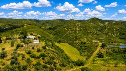 Quinta T2 para Venda em São Bartolomeu de Messines