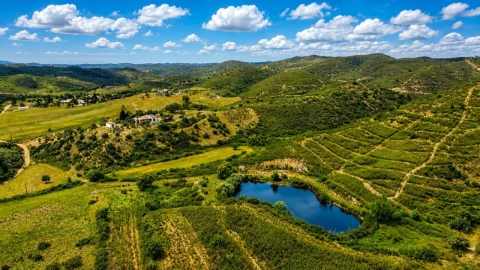 Quinta T2 para Venda em São Bartolomeu de Messines