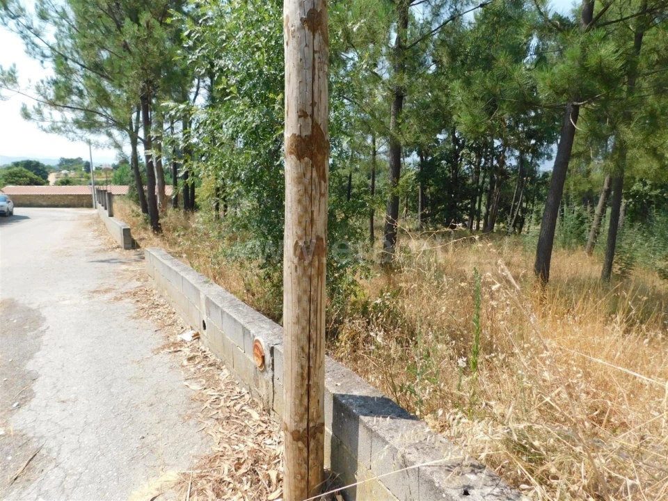 Terreno para Venda em Fundão, Valverde, Donas, A. Joanes, A. Nova Cabo Foto 4