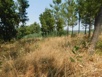 Terreno para Venda em Fundão, Valverde, Donas, A. Joanes, A. Nova Cabo