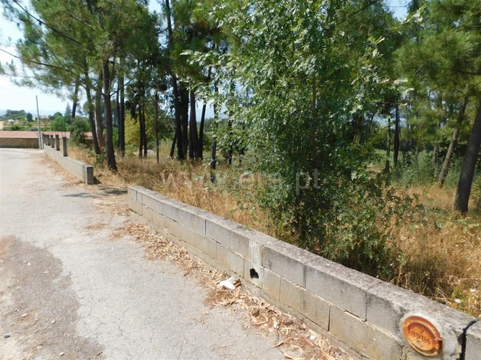 Terreno para Venda em Fundão, Valverde, Donas, A. Joanes, A. Nova Cabo Foto 5