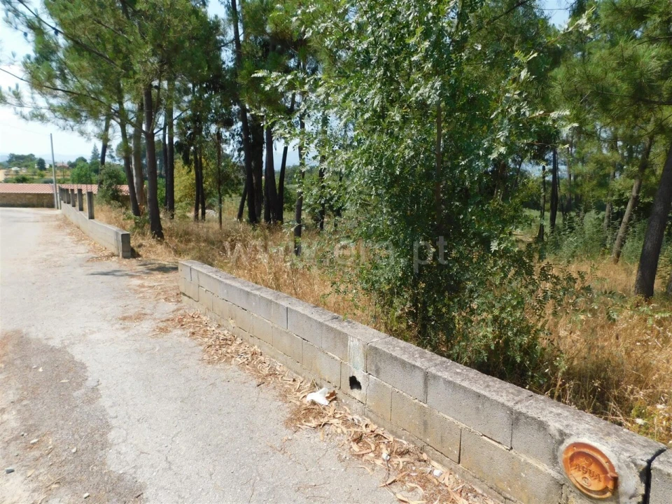 Terreno para Venda em Fundão, Valverde, Donas, A. Joanes, A. Nova Cabo Foto 5